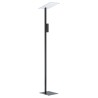 Lampadaire LED EGLO Budensea Led Noir Lumière Indirecte