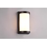 Aplique de Pared Exterior Led Trio Puelo Negro IP44