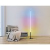 Lampadaire Eglo Picacha 1 LED noire 13,5W CCT+RGB avec télécommande